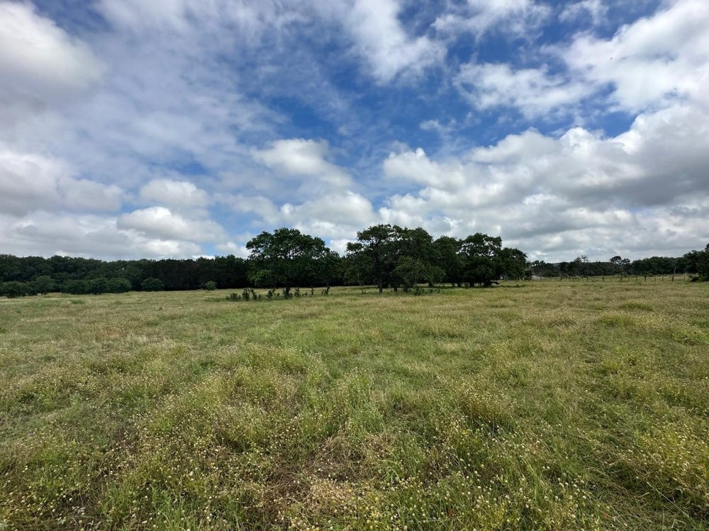 Address Withheld By Seller, TX 78611 MLS 1184127 Coldwell