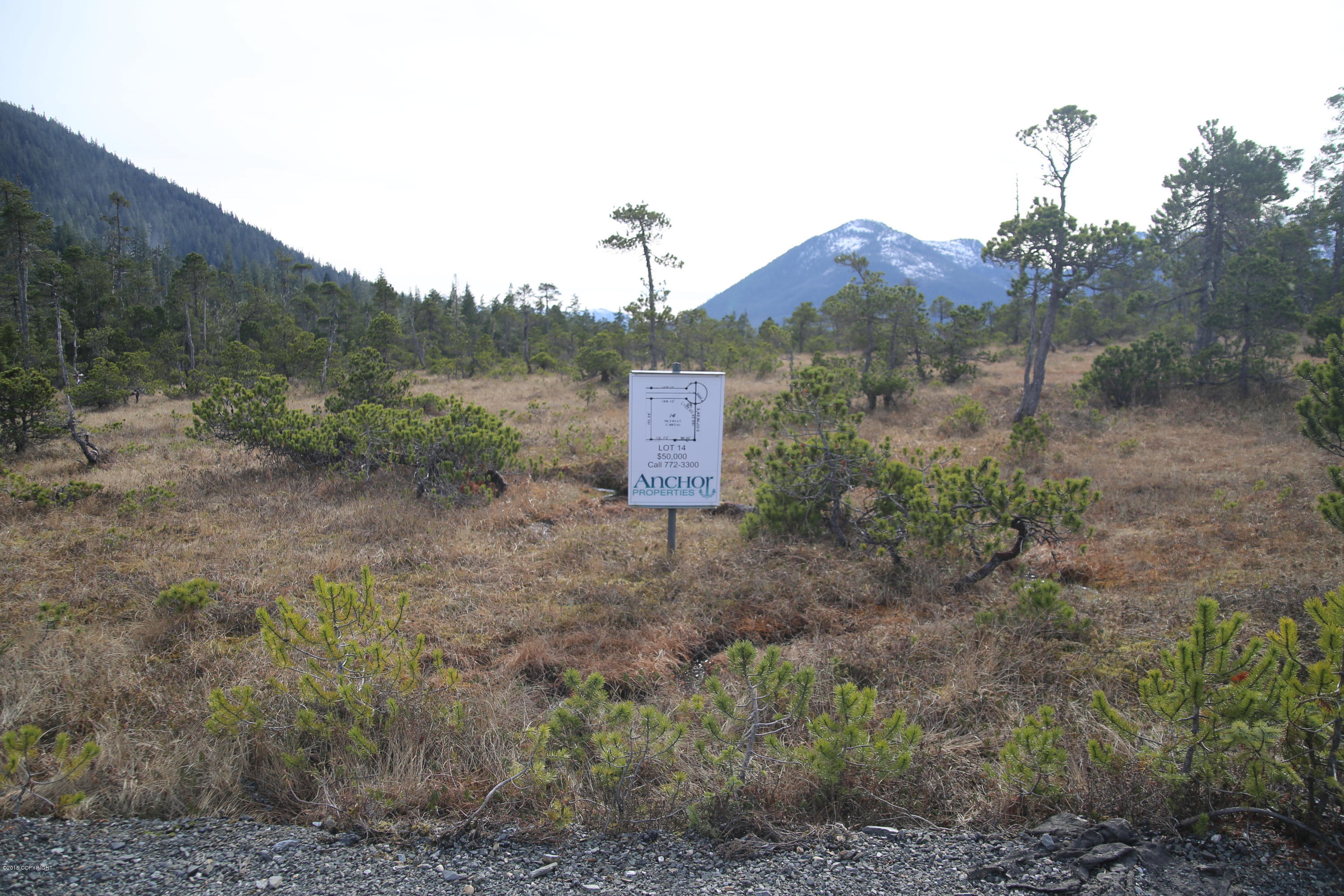 Listing view 2