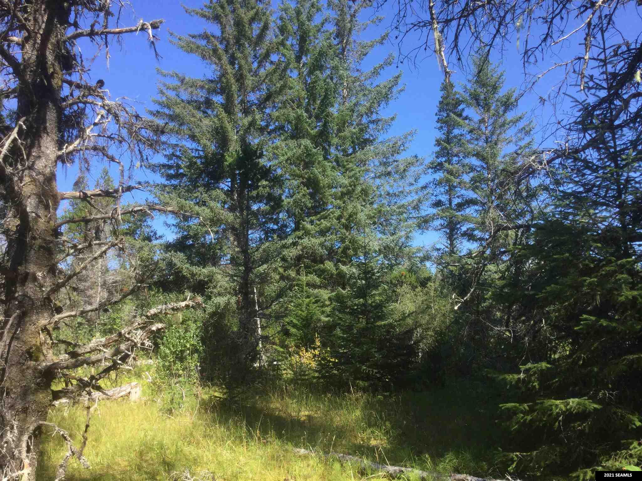 Listing view 3