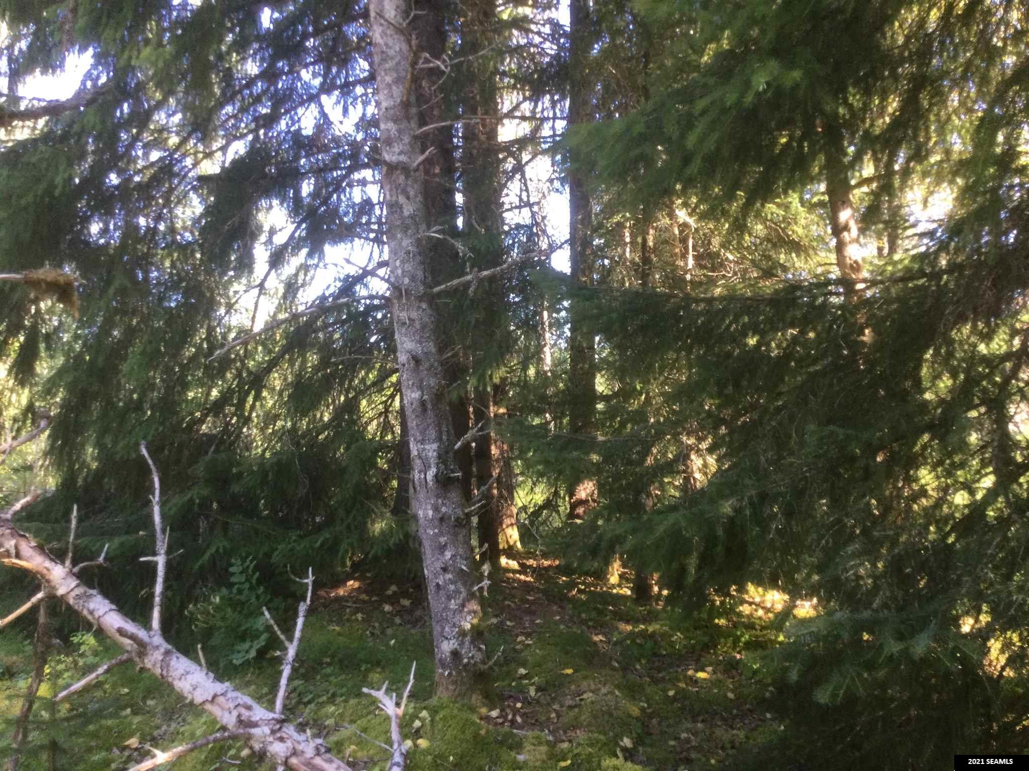 Listing view 3