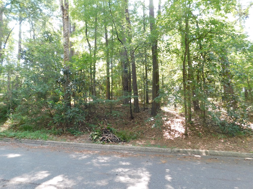 Listing view 2