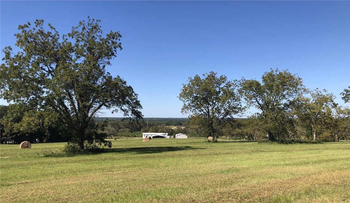 Listing view 2