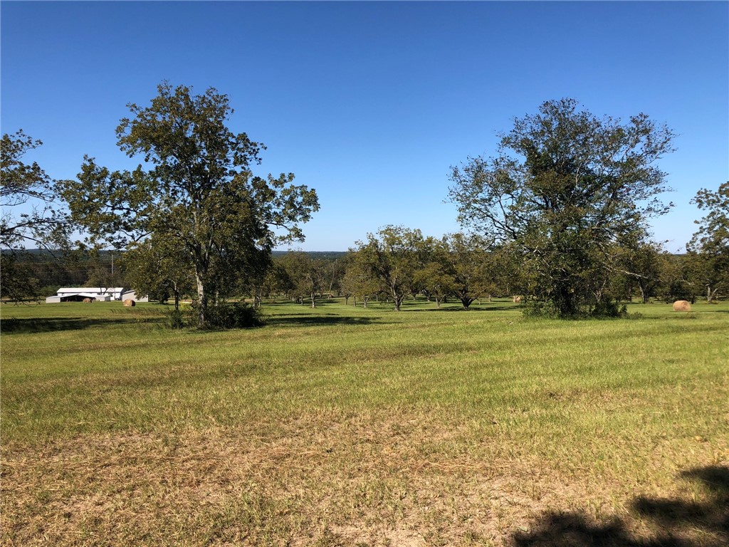 Listing view 3