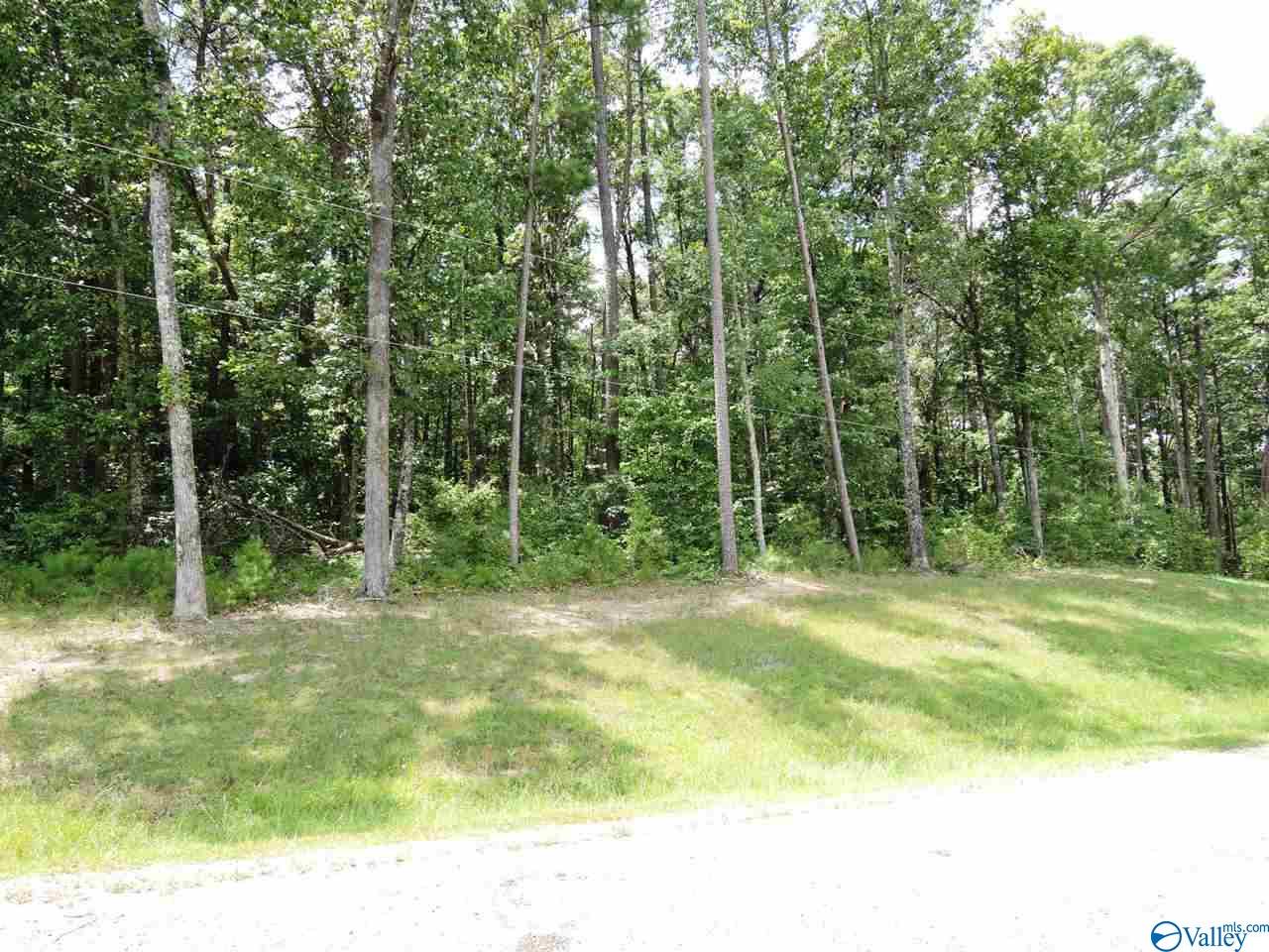Listing view 2