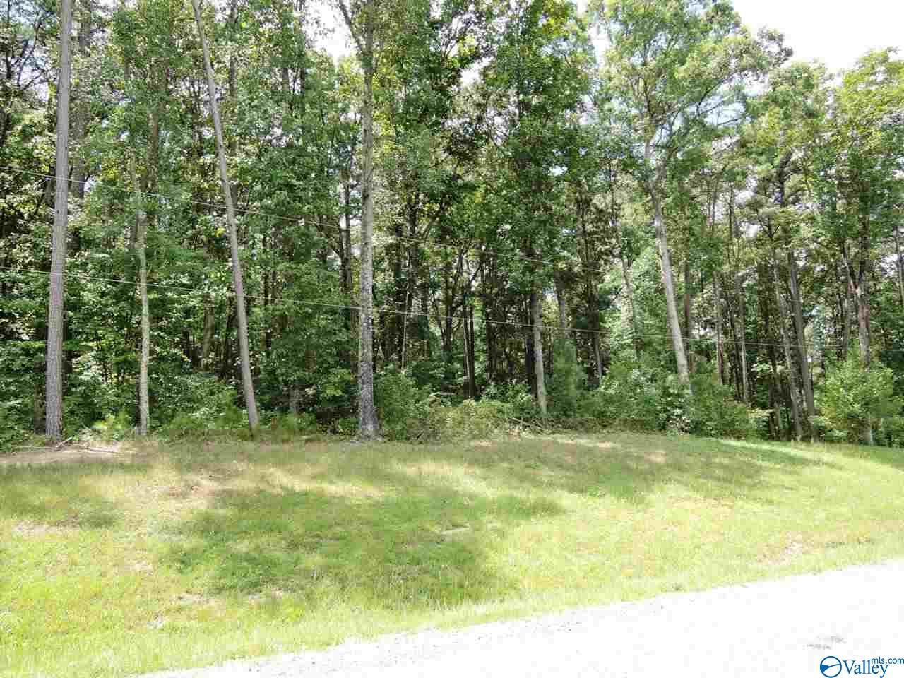 Listing view 3
