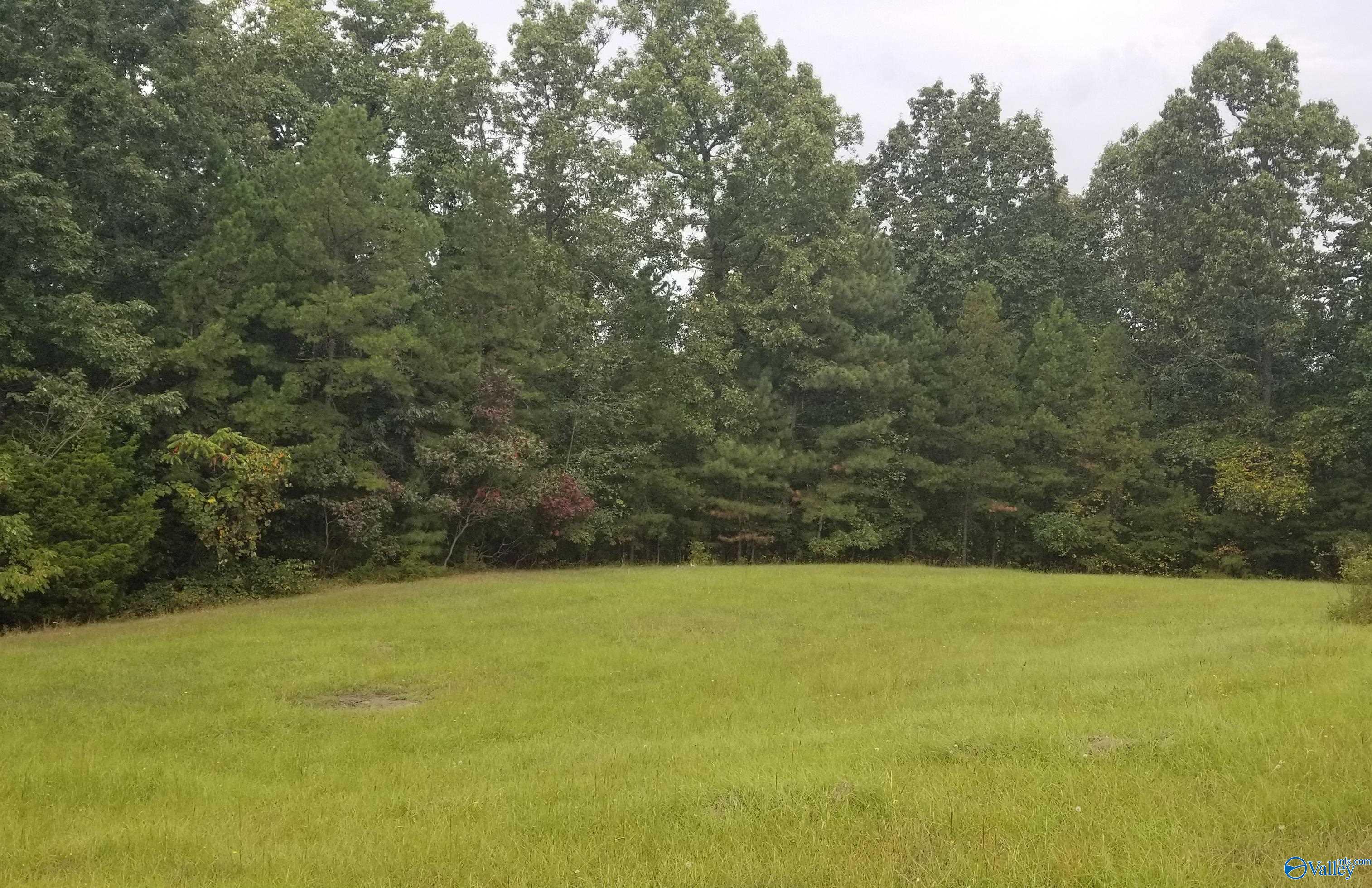 45 Echota Ridge, Grant, AL 35747 - MLS# 1840630 - Coldwell Banker