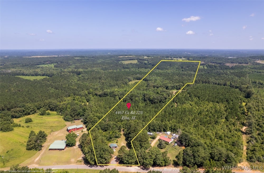 4467 County Road 228 Road, Elba, AL 36323 - MLS# 554251 - Coldwell Banker