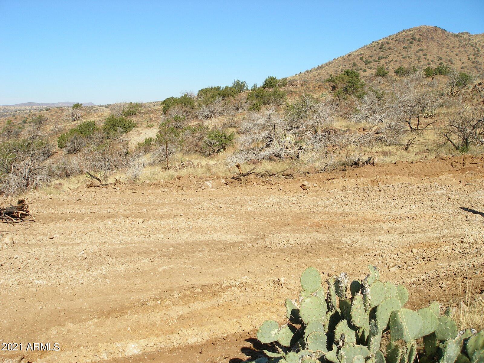 Listing view 2