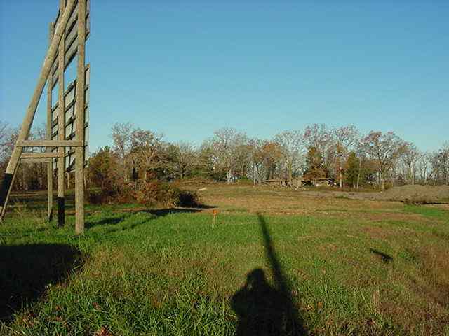 Listing view 3