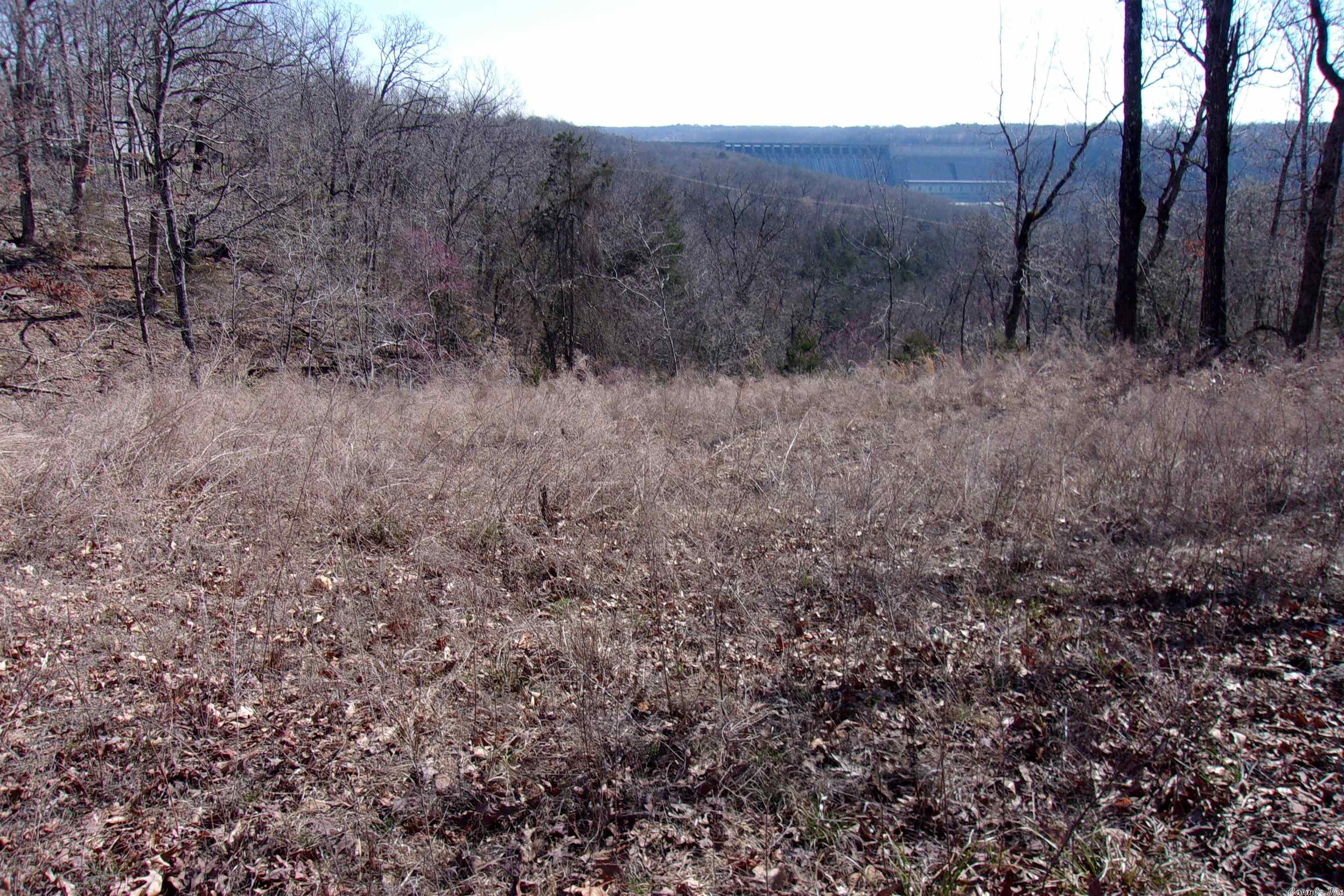 Listing view 3