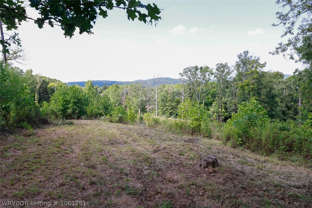 Listing view 3