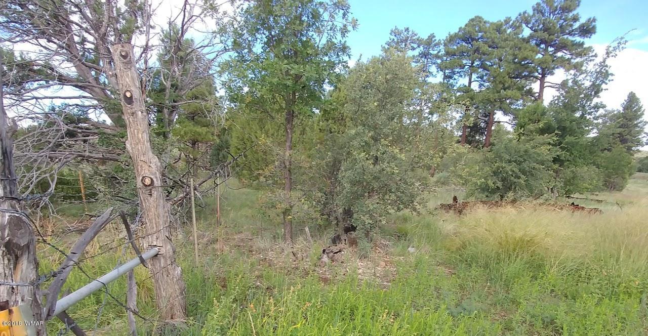 Listing view 2