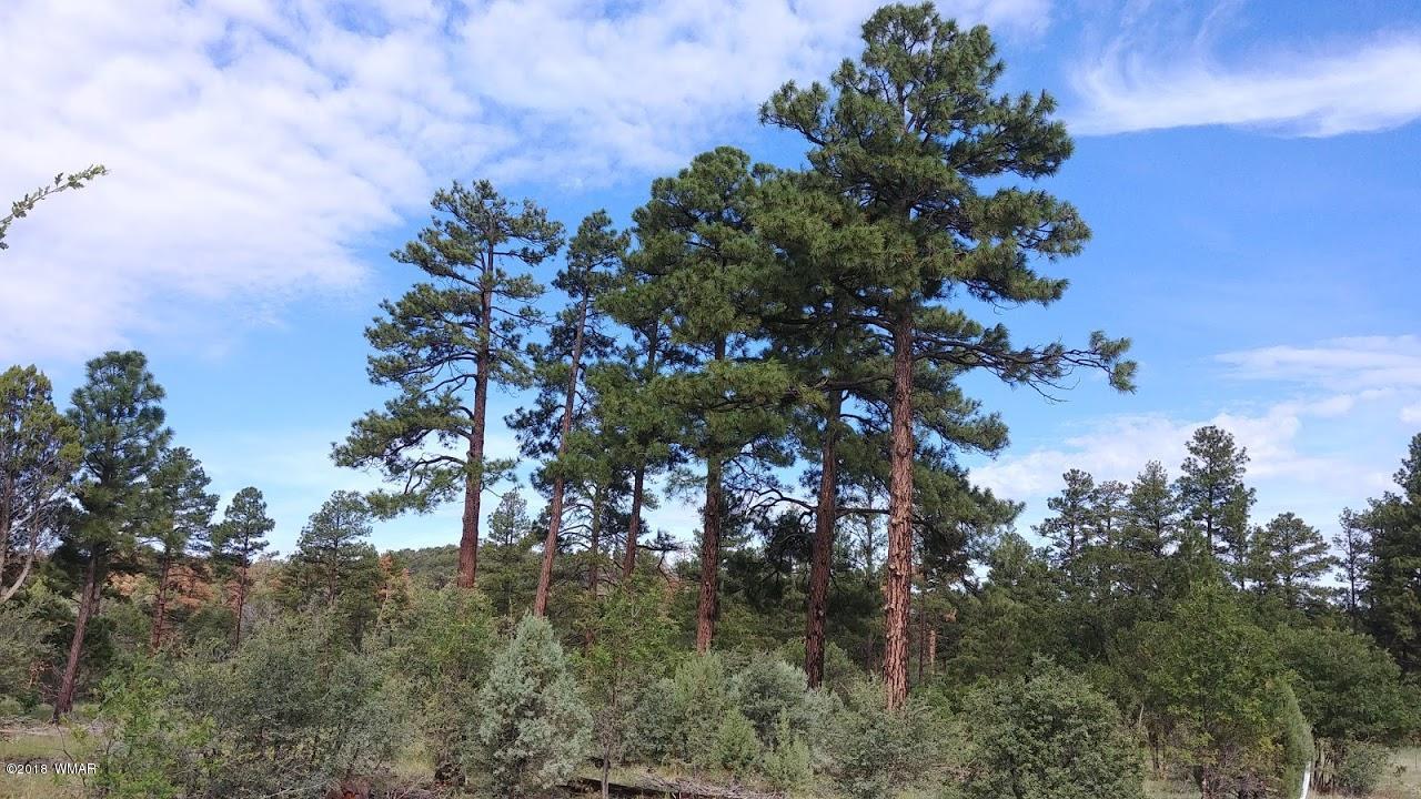Listing view 3