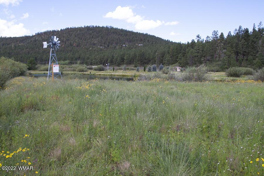 Listing view 2