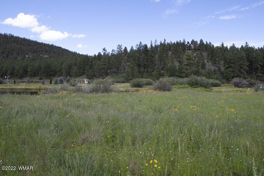 Listing view 3