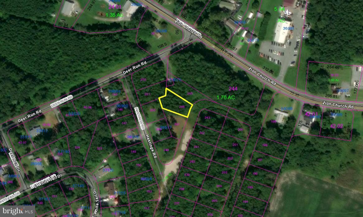 Listing view 3