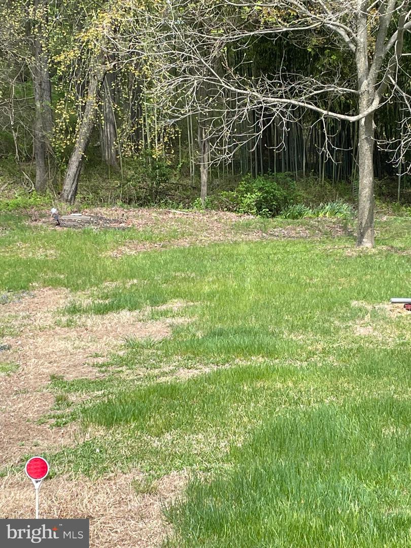 1116 Briggs Chaney Rd, Silver Spring, MD 20905 - MLS# MDMC2128568 ...