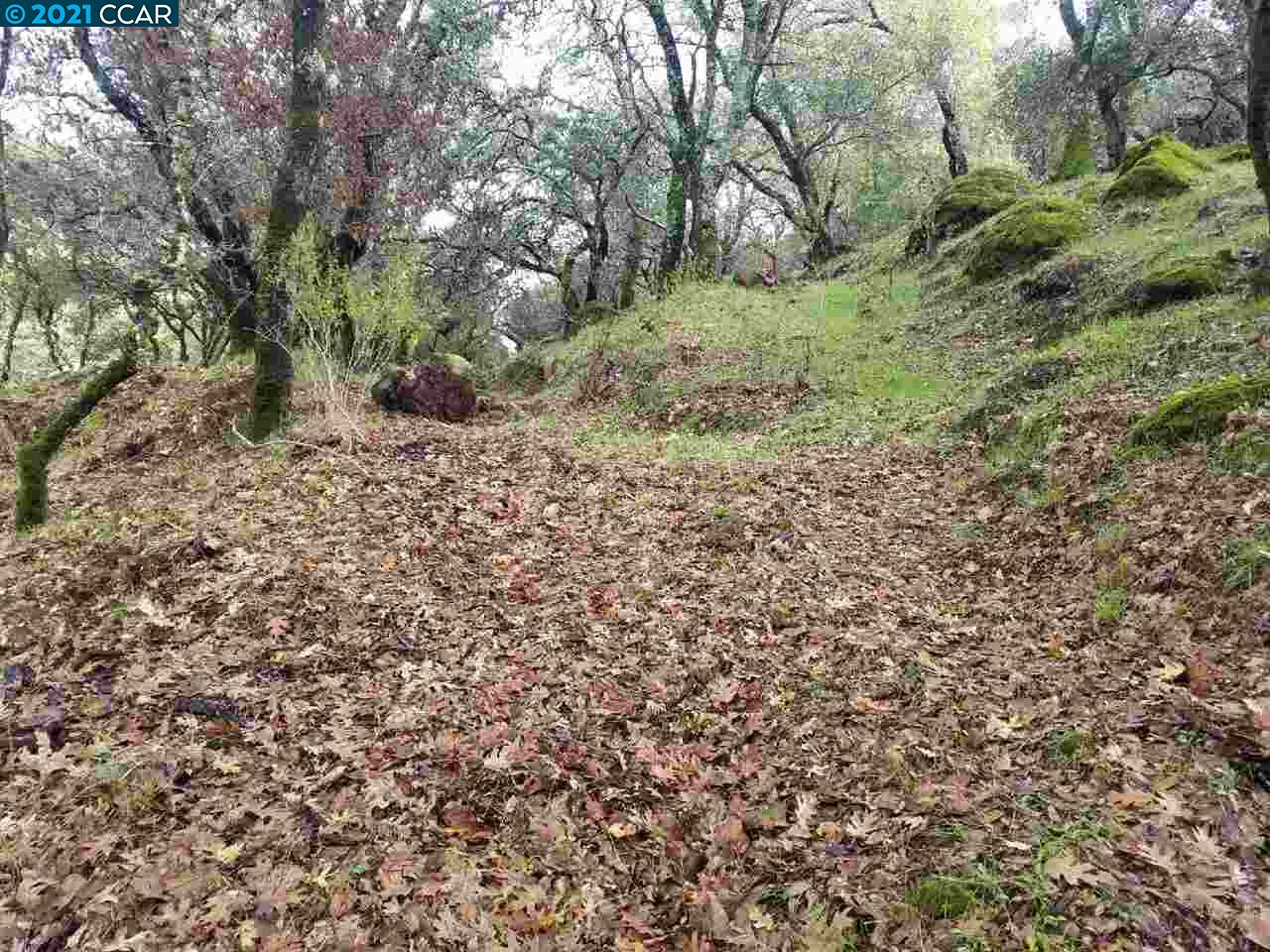 Listing view 2