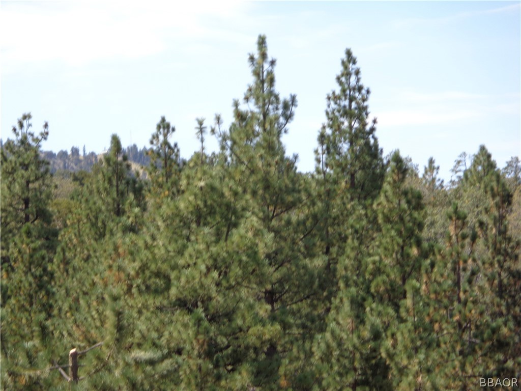 Listing view 2