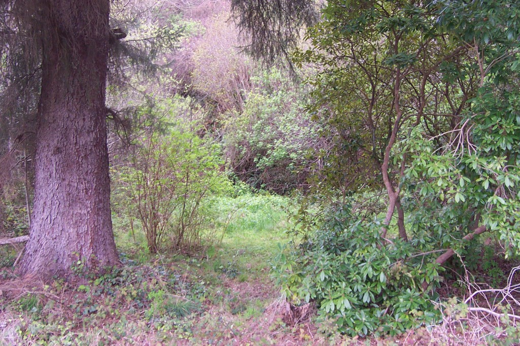 Listing view 3
