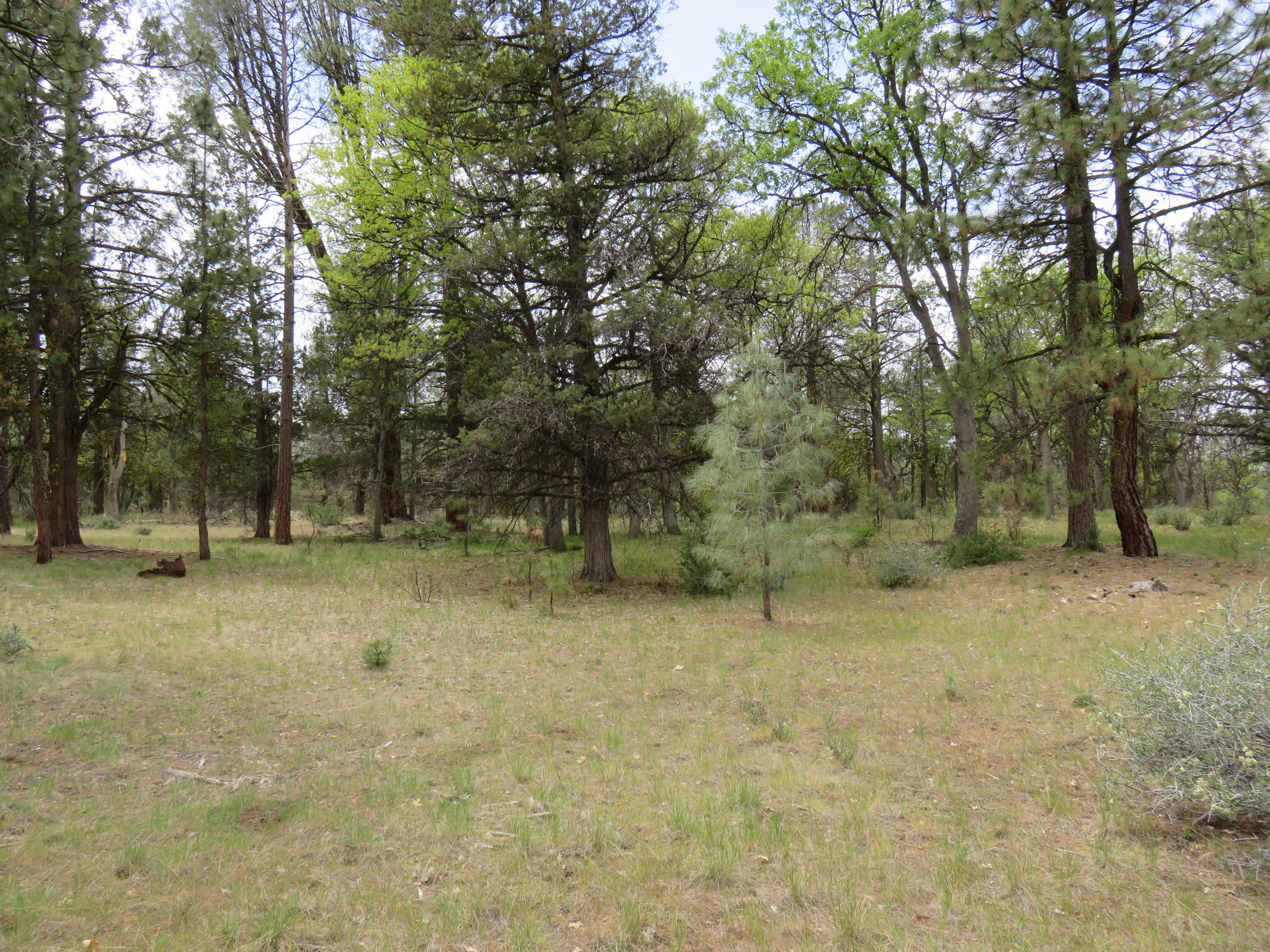 Lot 58 Shoshoni Loop  