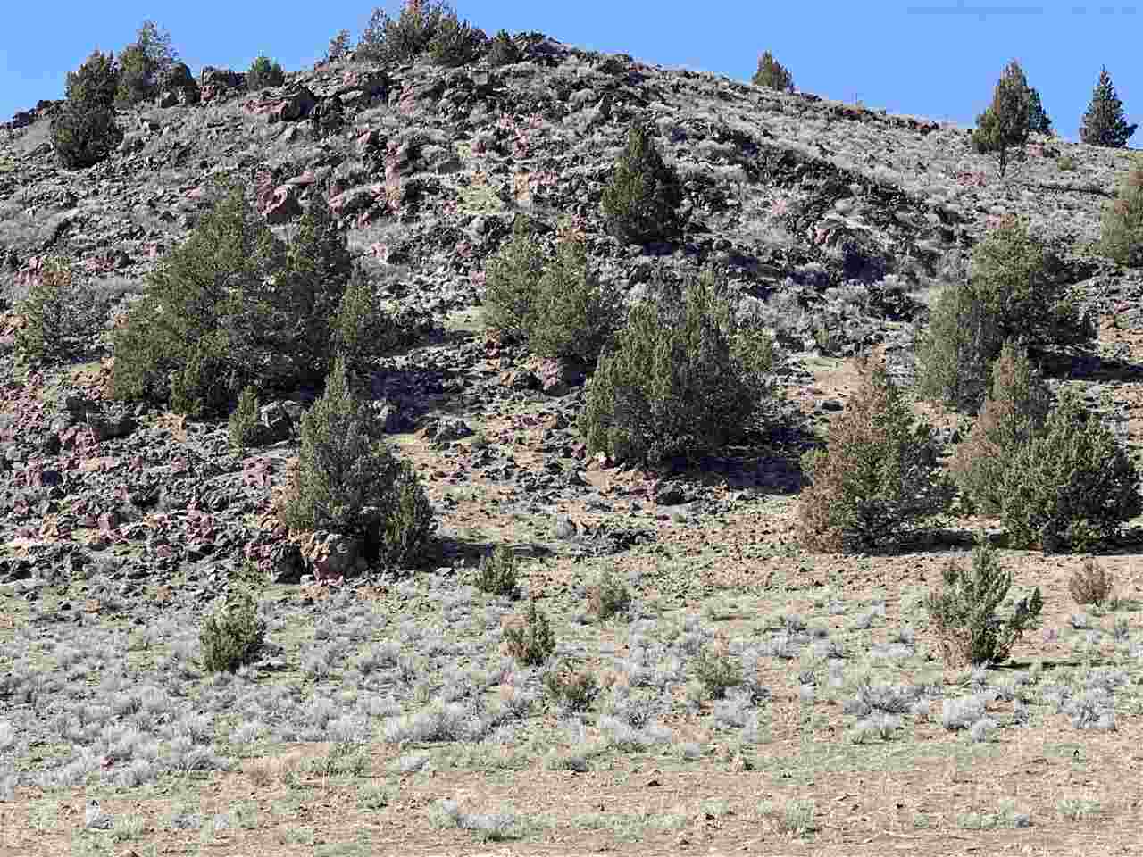 Listing view 3