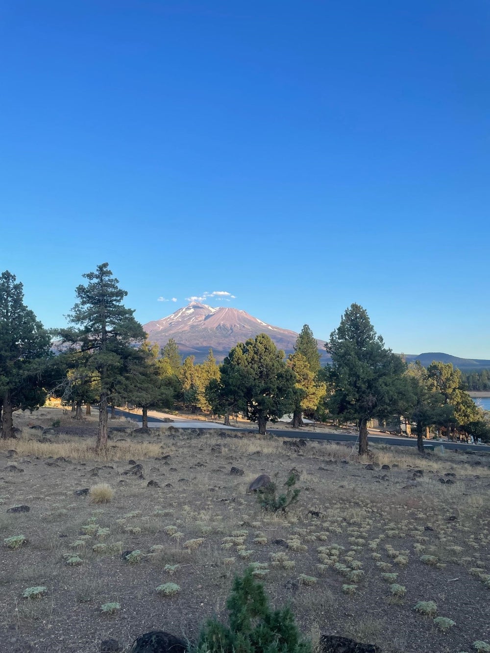 lot 101unit 92 Shoreline, Weed, CA 96094 MLS 20240115 Coldwell Banker