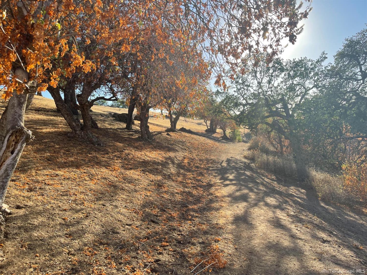 Listing view 3