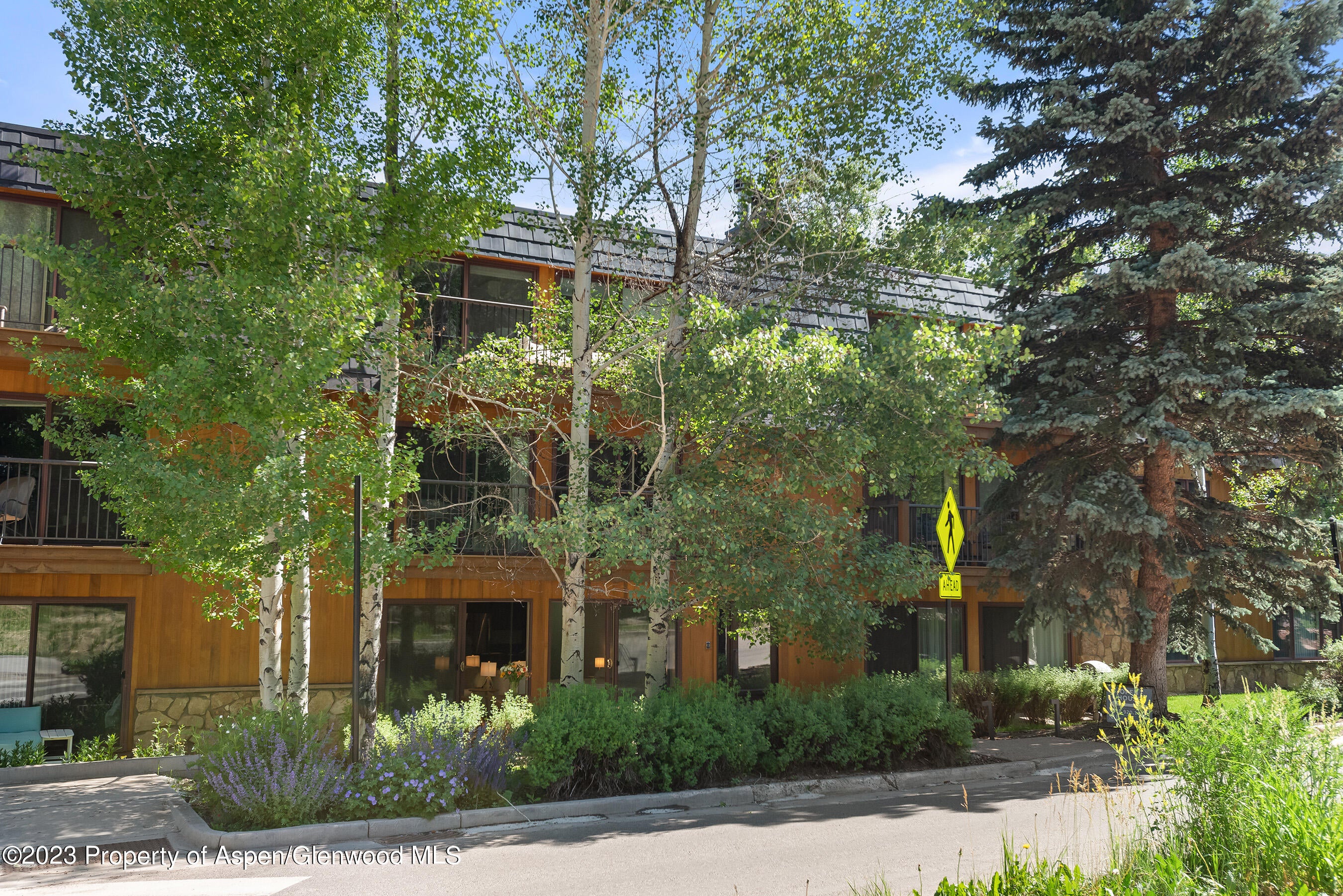 222 Roaring Fork Drive, Aspen, CO 81611