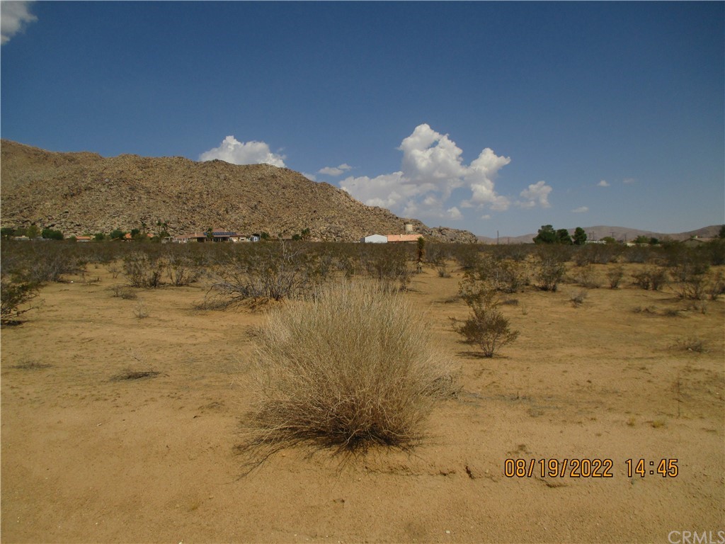 Listing view 2