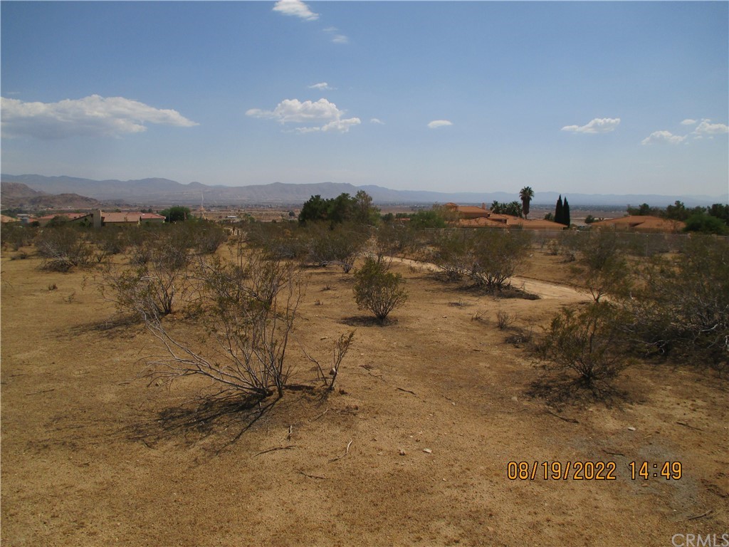 Listing view 3