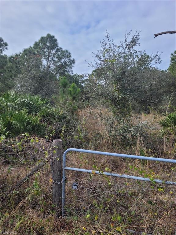 Property view