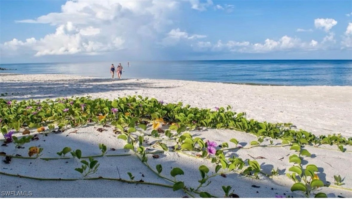 421 Bow Line Dr., Naples — Moorings Homesite photo 6
