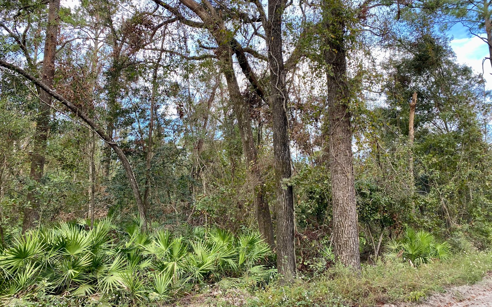 Listing view 3