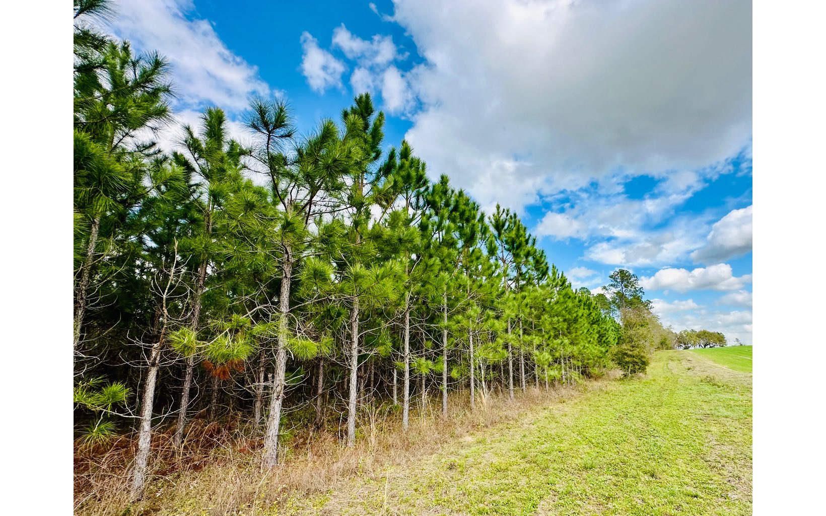 NE Rocky Ford Rd Madison FL 32340 MLS 122654 Coldwell Banker