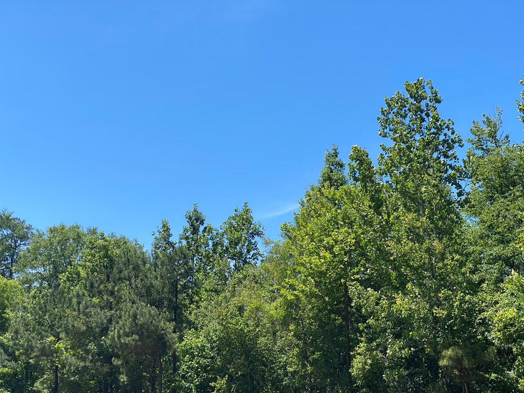 Listing view 3