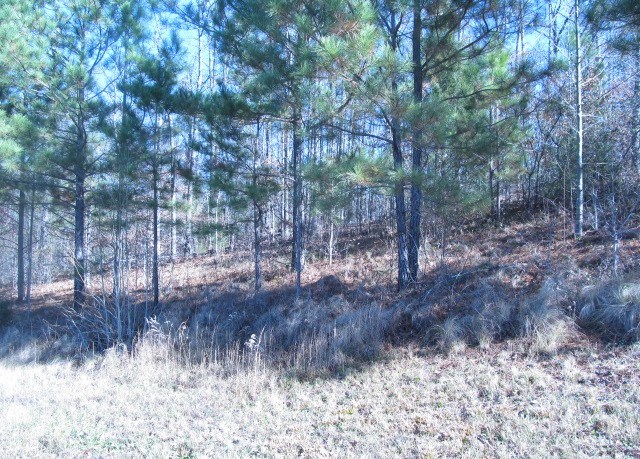 Listing view 3