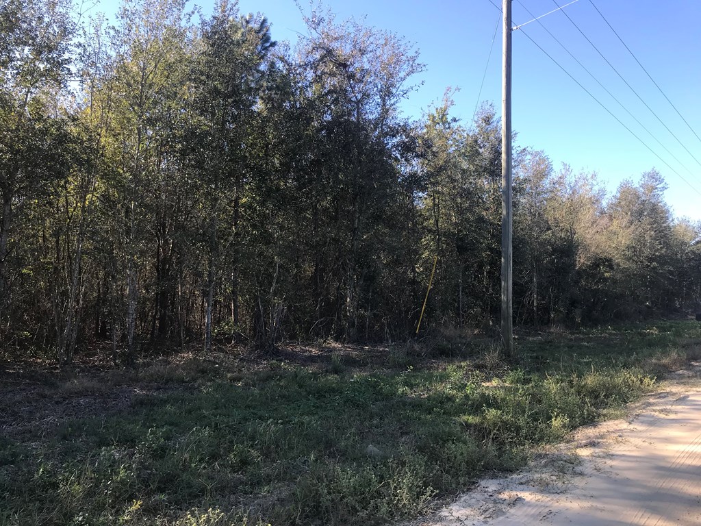 Listing view 2