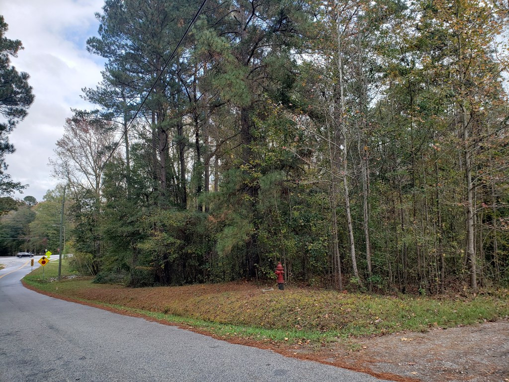 Listing view 3