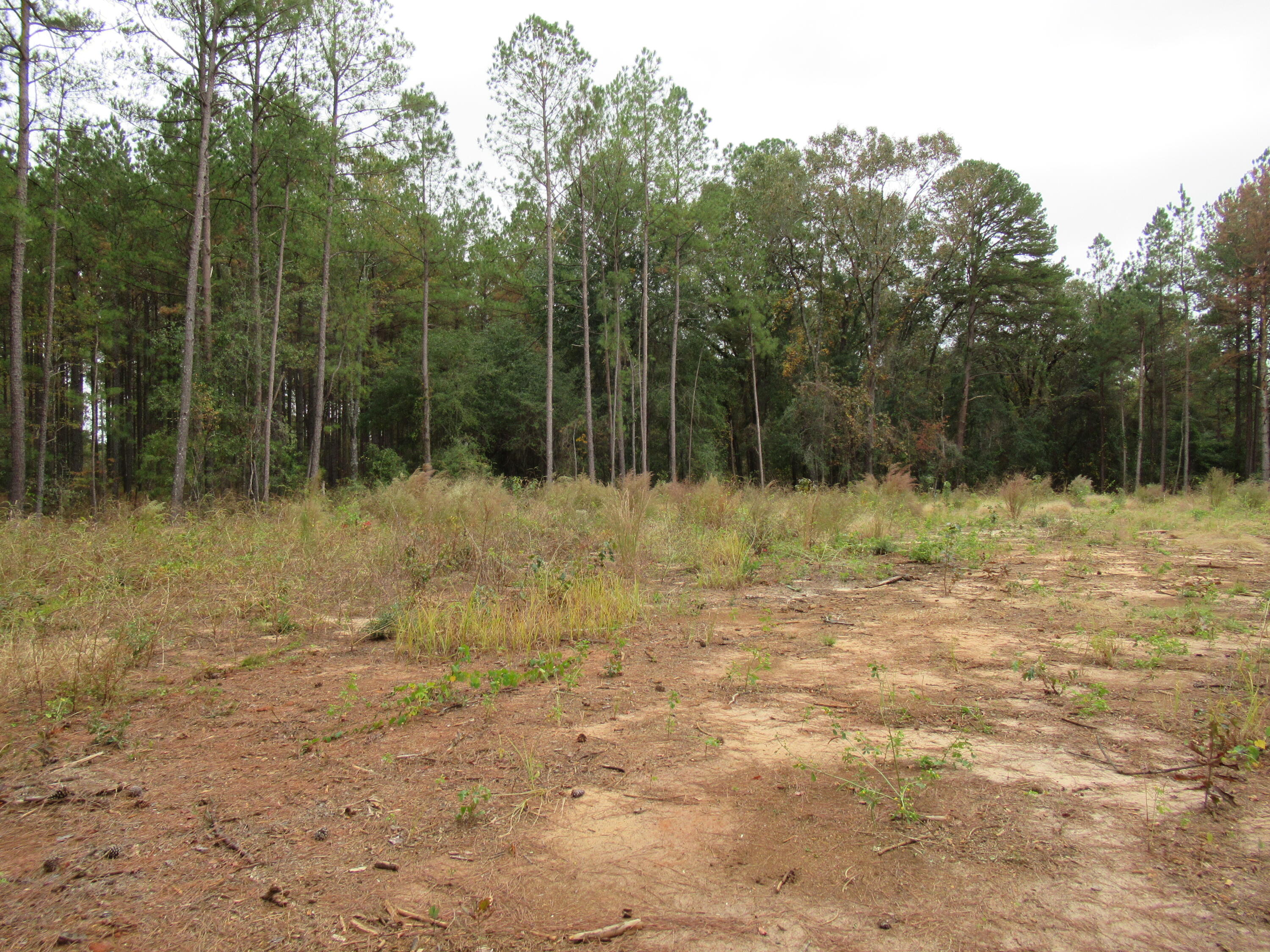 Listing view 3