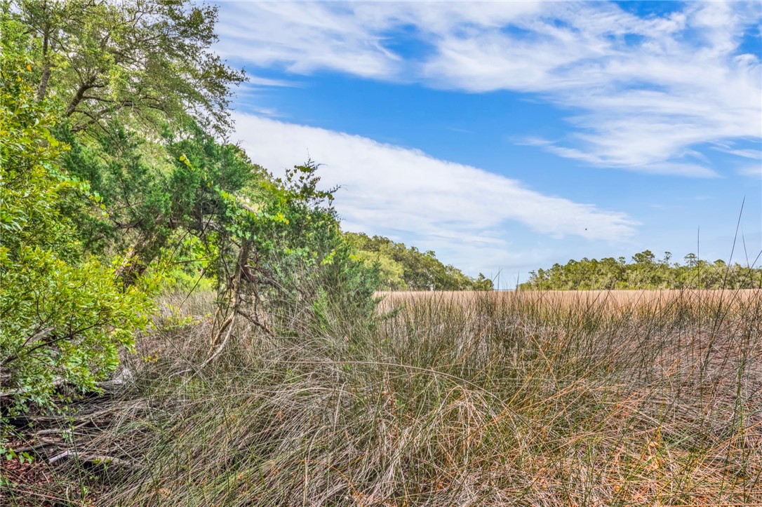 Listing view 3