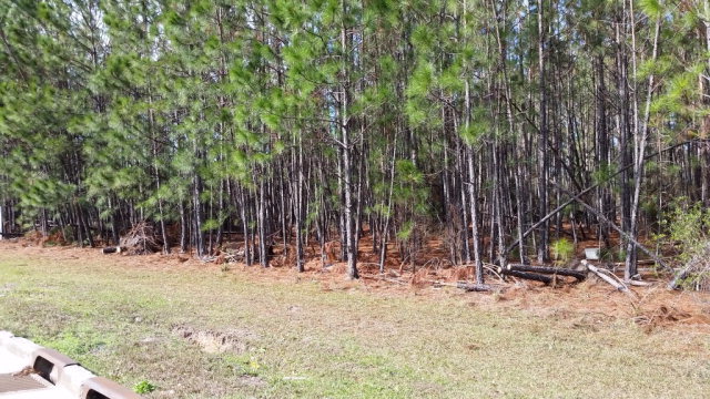 Listing view 3
