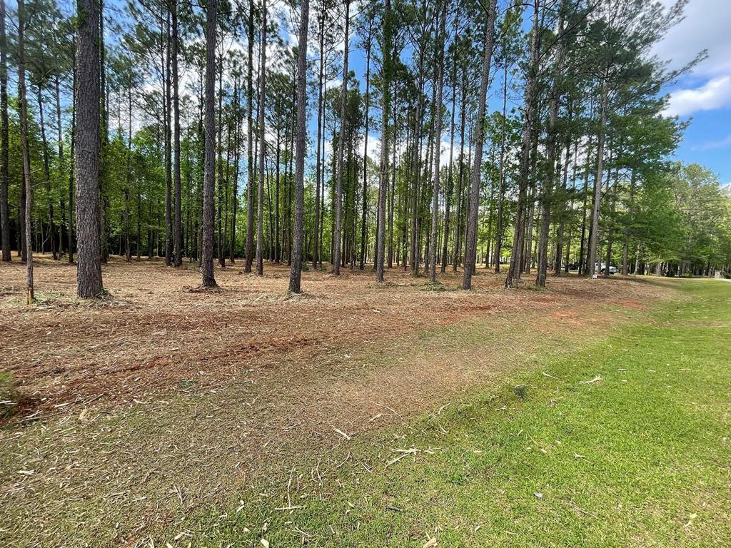 Listing view 3