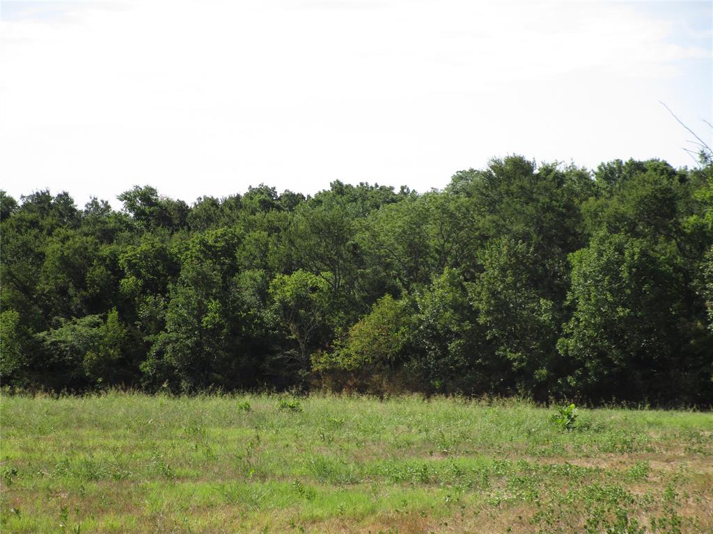Listing view 2