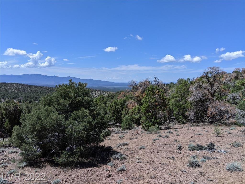 Listing view 3