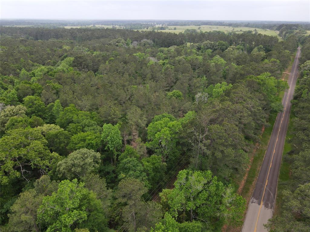 Listing view 3