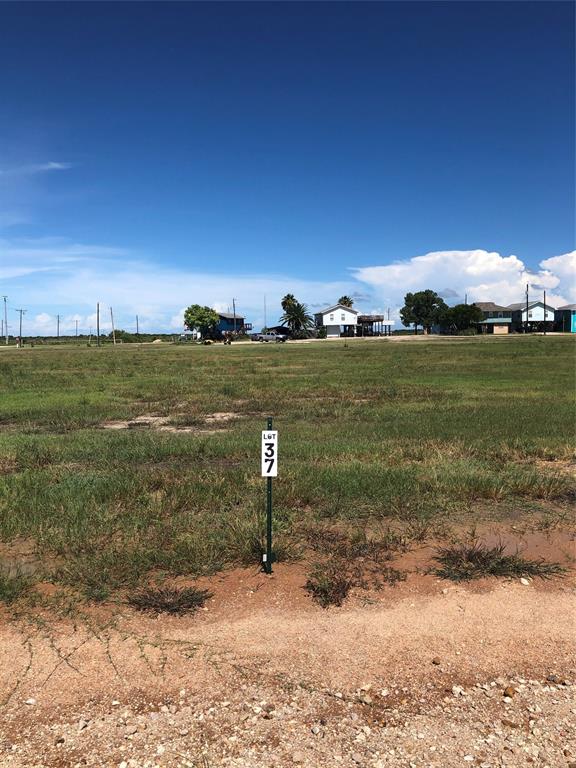 Listing view 2