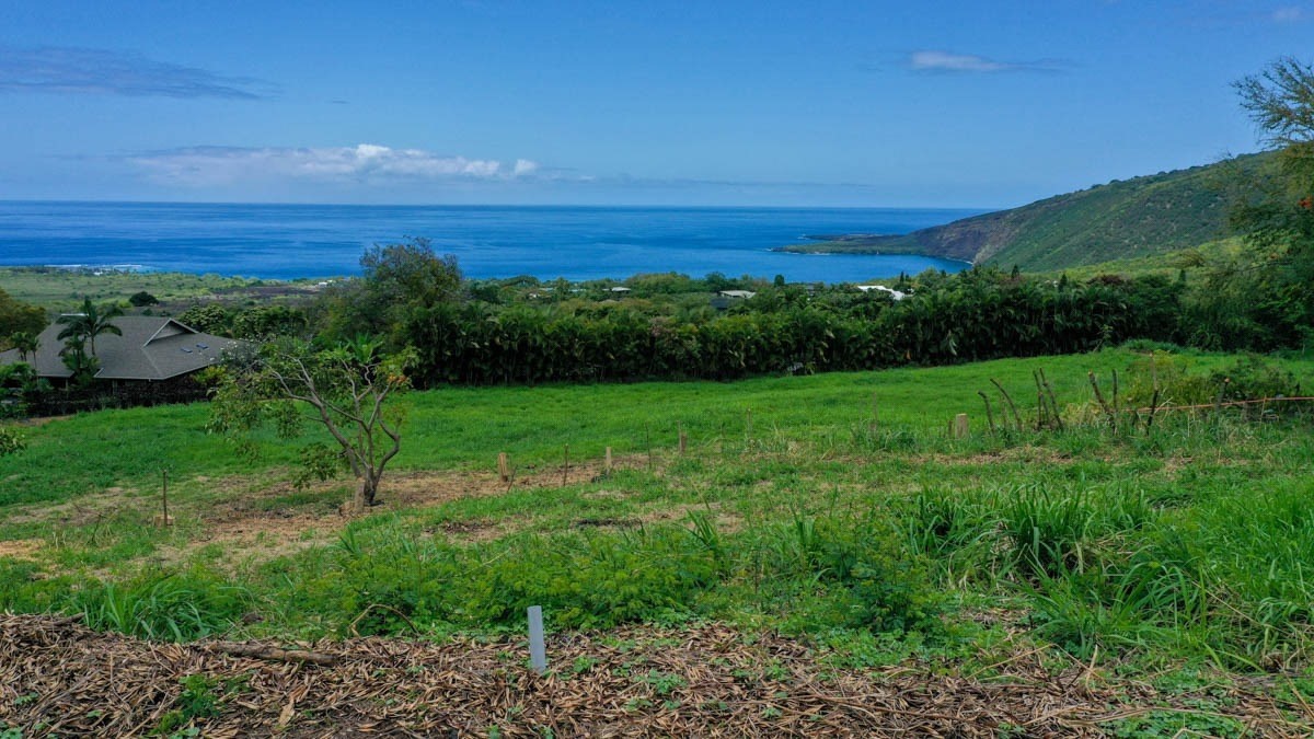 Listing view 3