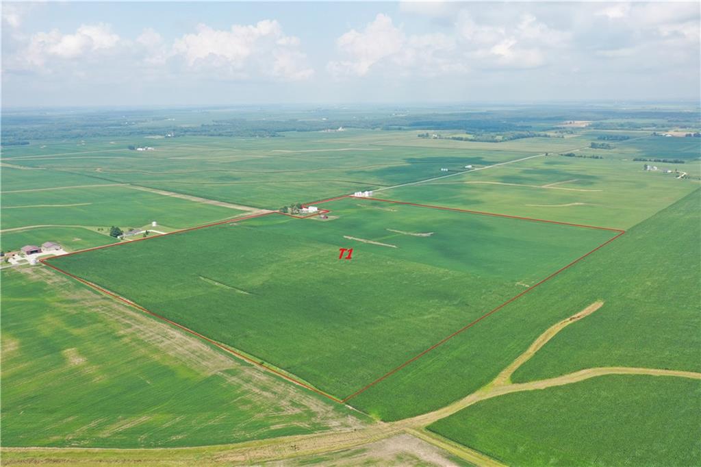 Listing view 2