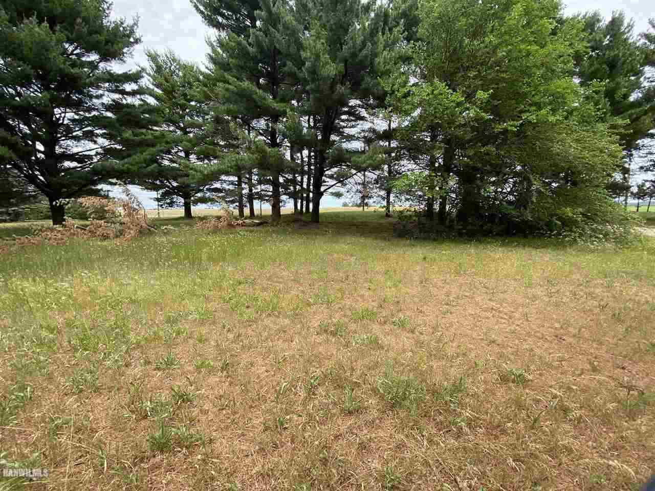 Listing view 2